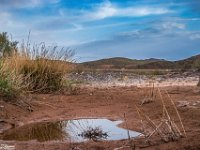 Passion-for-Growth14