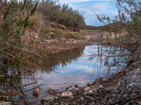 Passion-for-Growth15