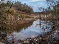 Passion-for-Growth16