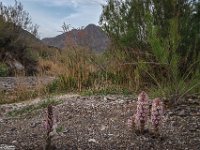 Passion-for-Growth17