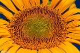 Aftabgardan-5