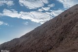 Artaguana-18