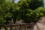 Cheshmehali (11)