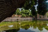 Cheshmehali (5)