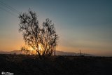 Dagh-Esfened-21
