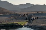 Ghasab-10