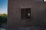 Ghasabp0-6