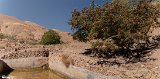 Khonjokghadim (15)