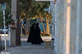 Mojasameh-Shari (10)