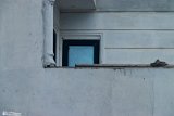 SAhelbabolsar (12)