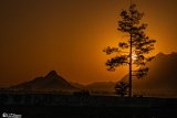 Savarkari-Arta (17)