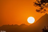 Savarkari-Arta (6)
