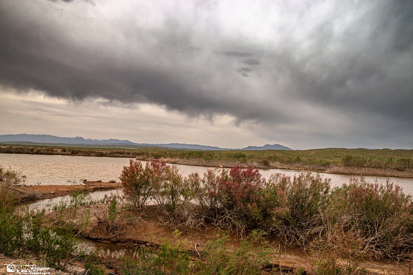 farrokhi-dam-eastern-iran-wild-poppies15