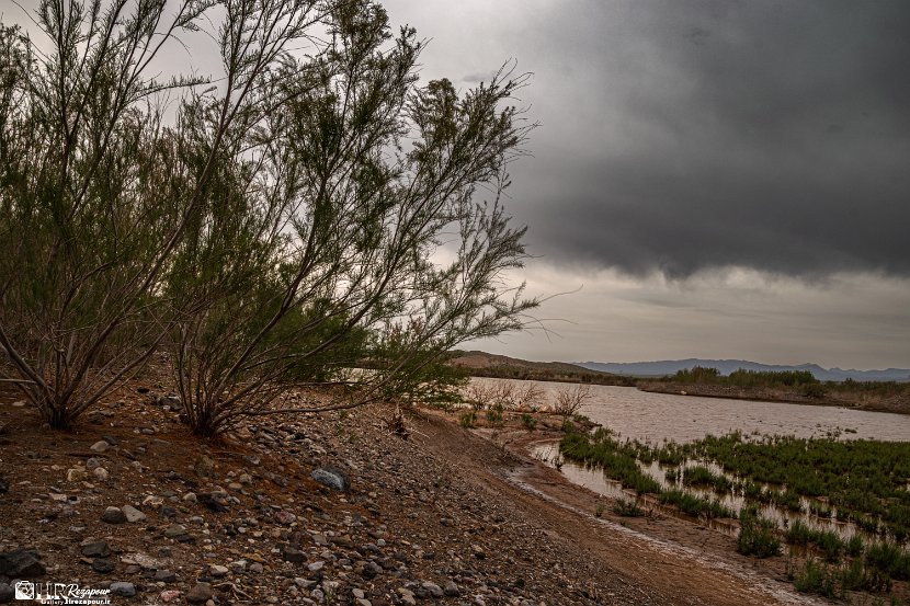 farrokhi-dam-eastern-iran-wild-poppies16