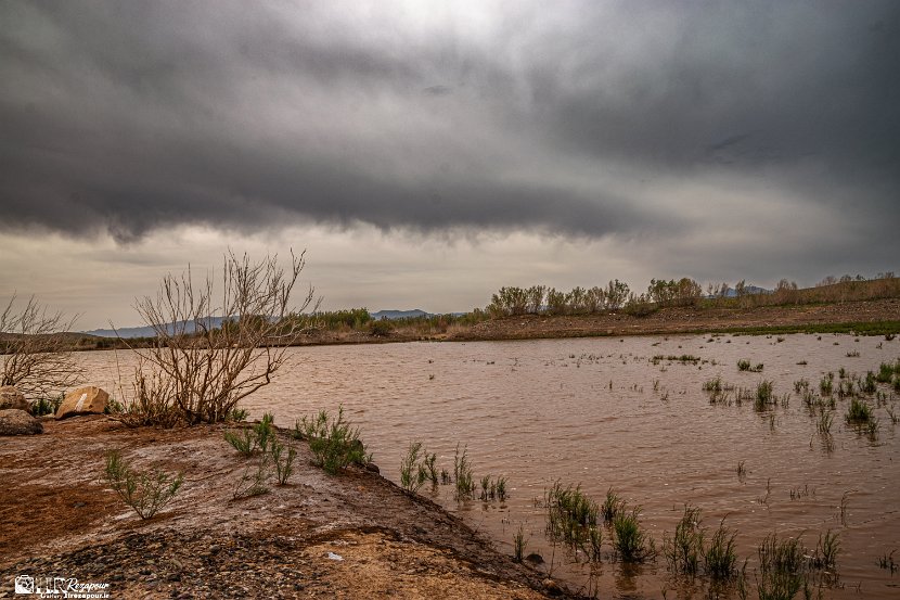 farrokhi-dam-eastern-iran-wild-poppies17