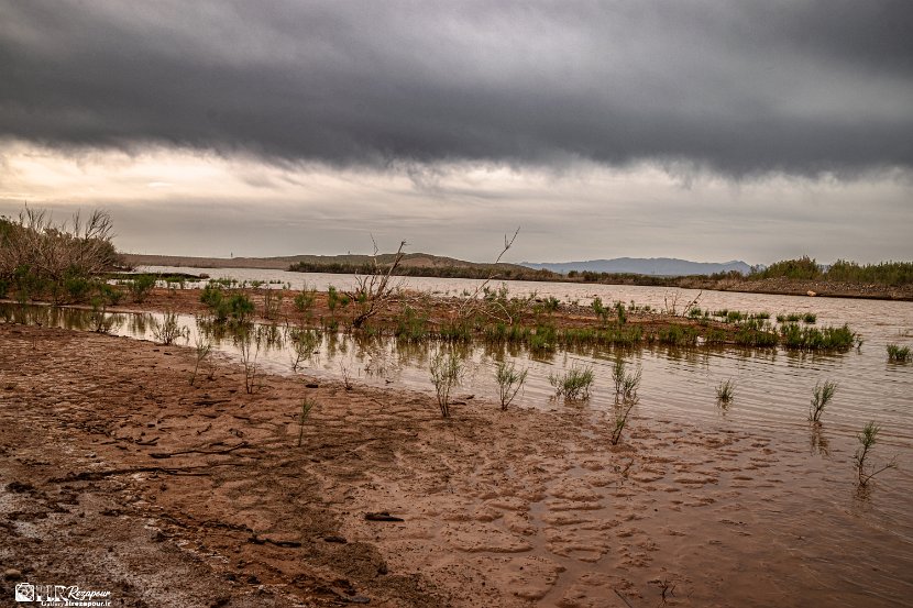 farrokhi-dam-eastern-iran-wild-poppies18