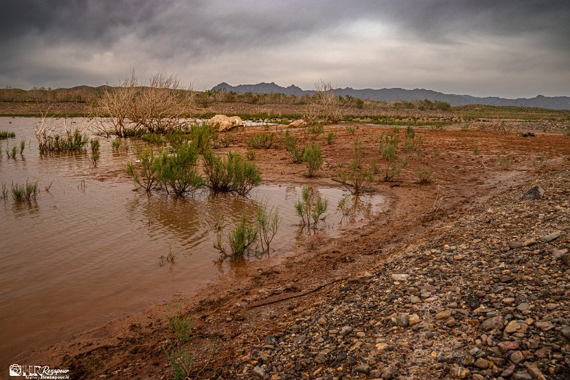 farrokhi-dam-eastern-iran-wild-poppies19
